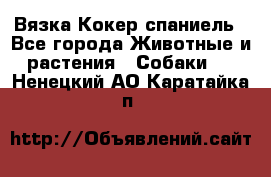 Вязка Кокер спаниель - Все города Животные и растения » Собаки   . Ненецкий АО,Каратайка п.